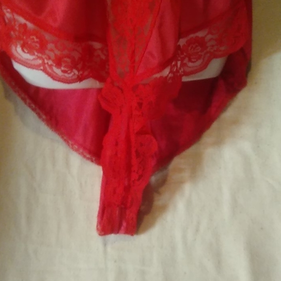 Teddy - Picture 3 of 8